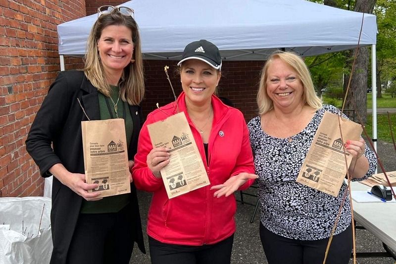 Plus de 1 200 arbres distribués à Sherbrooke et à Coaticook